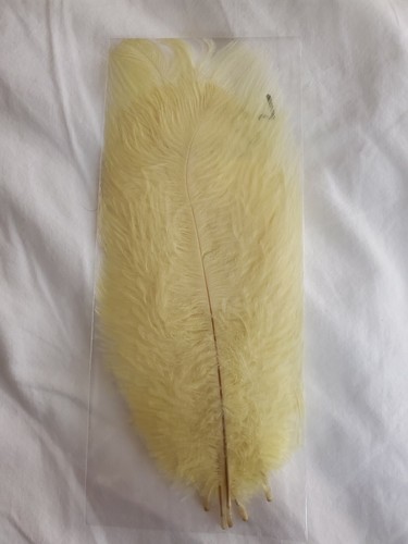 Lot dyed 8 - lot, 5