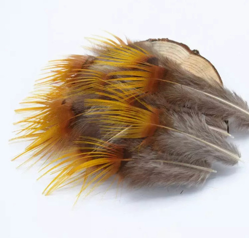 Natural craft feathers peacock - craft,