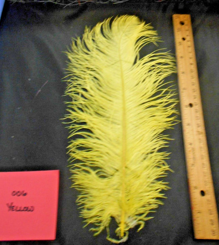 Ostrich feathers spey plumes - ostrich,